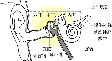 耳の病気について