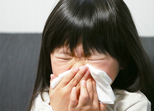 鼻の病気について